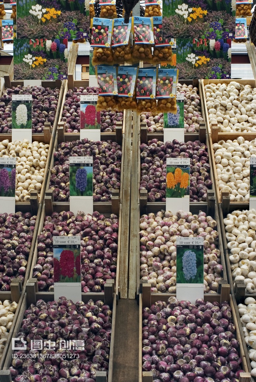 阿姆斯特丹花市 當(dāng)鮮花與針紡織品相遇的獨(dú)特魅力